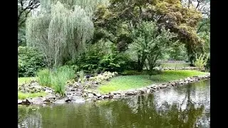Reflections on coping with cancer