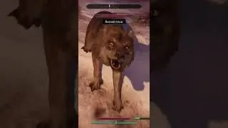 Что ждет XBOX в будущем ?