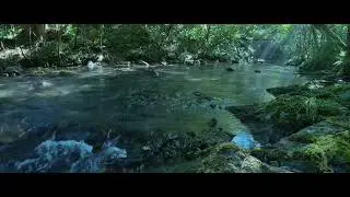 4K | In the morning, the misty forest and babbling stream enhance focus | study | relaxation | sleep
