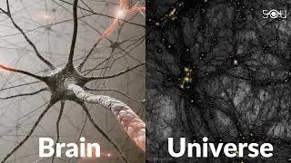 How Our Brain is a Mini Model of the Universe