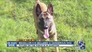 K9 for Massillon Police Department labeled 'dangerous' by court
