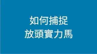 如何捕捉放頭實力馬