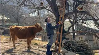 Elderly Farmer&rsquo;s Daily Life in a Remote Mountain Village