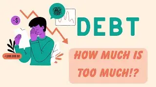 Debt Crisis : How Much is Too Much? #debt #debtfreejourney #moneymanagement