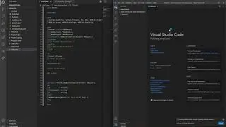 Useful Extensions - Live Share - TMS Web Core for Visual Studio Code