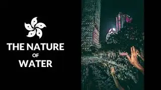 Hong Kong Protests: 