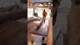 wood cutting process #sawmillwood #woodcarving