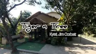 Corbett Tiger N Tree Resort, Kyari village, Jim Corbett - Complete Overview | Budget friendly