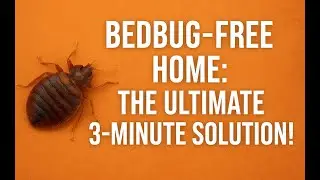 How to Get Rid of Bedbugs Permanently &ndash; Safe & Easy. #BedBugs #PestControl #DIYBedBugRemoval #Home