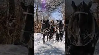 Schlittenfahrt Text: Tolkewitzer; Musik & Gesang: &bdquo;Karl Schnabel&ldquo; F&uuml;r den @SachsenKanal
