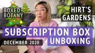 Hirt's Boxed Botany | December 2020 Houseplant Subscription Box Unboxing