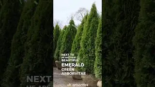 Tour Landscape Direct with Kelly: quality plants ready for contractors. Pre-pull orders save time!