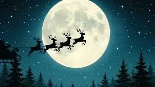 video from rawpixel id 22079364 4k