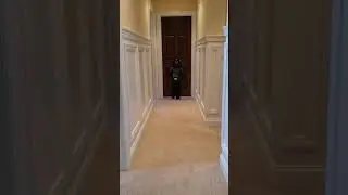 Darth William