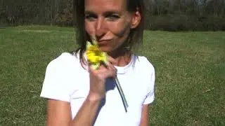 DAFFODIL -  COYOTE GIRL
