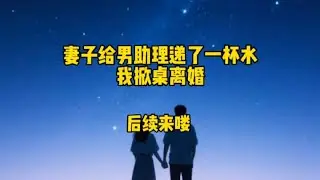 当妻子收到我起诉离婚的法院传票时后续来了#二次元 #柳如烟 #漫画解说 #妻子给男助理递了一杯水我掀桌离婚 #有声漫画