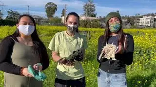 BRINGiT Bags Compostability Test with UC Berkeley Zero Waste Lab