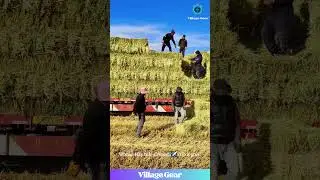This Hay Bale Tossing is an Olympic Sport! 🥇 Farm Strong! #hayday #farminglife #strengthtraining