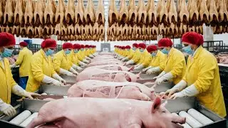 Inside a Million-Dollar Pig Leather Factory &ndash; Full Exotic Skin to Luxury Item (Full Process)