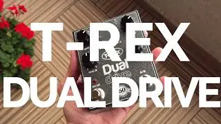 T-Rex Dual Drive Thomann 60th Anniversary Look Around | Dorin Ardelean
