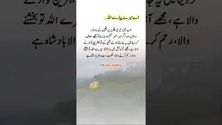 Beautiful Words #ameen #islamicvideo #islamicreminder #muslimcontent #shortsfeed #shorts