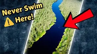 Something Terrifying is Hiding in this Black Australian River