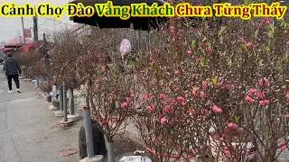 Toàn Cảnh Chợ Hoa Hậu Nhật Tân Vắng Khách Chưa Từng Thấy