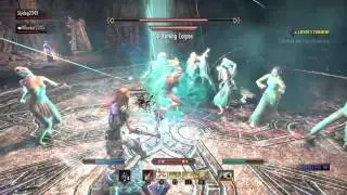 Eso- 2man Archmaster Siniel - Crypt of Hearts (Paladin)