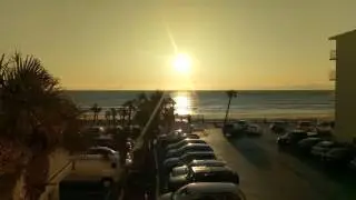 Life on the beach