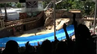 SeaWorld - Clyde and Seamore Take Pirate Island - Sealion and Otter Show