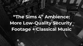 Classical playlist & security footage from Insomnia's trip to the bar | 