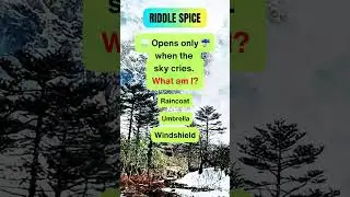I Solved The World's Hardest Riddle #hardriddles