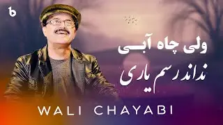 Wali Chayabi | Nadanat rasm yari | ولی چاه آبی / نداند رسم یاری بی وفا یار که من دارم