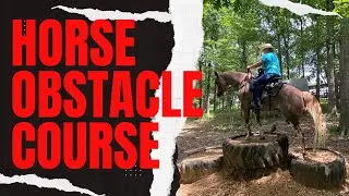 Trail Horse Obstacle Course at North Fork River Ranch, MO #horse #horsebackadventures #trailhorse