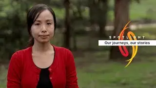 Telling the story of Chinese migration through art - Hurstville Museum and Gallery exhibition