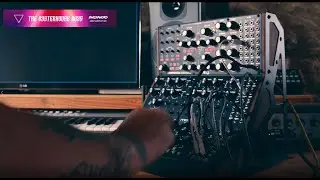 Trifekta! Ambient synth jam with Moog Mother 32, DFAM & Subharmonicon