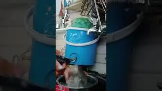 daily cleaning#explorepage#foryoupage#viralshort#shortvideo#subscribe#likeforlike#kavyakiduniya #son
