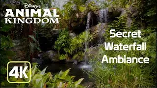 Animal Kingdom Oasis Waterfall | Relaxing 4K Jungle Ambiance for work, study, and Disney Magic