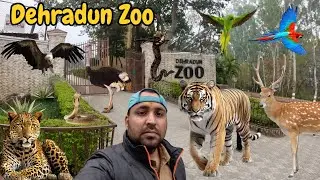 #dehradunzoo #malsideerpark #dehradun #uttarakhand #dehradunvlogger #dehradunlove