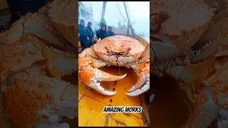 Underwaterhunting #seafoodhunting #fishing #fishingadventures #crab #oceantreasures #fish