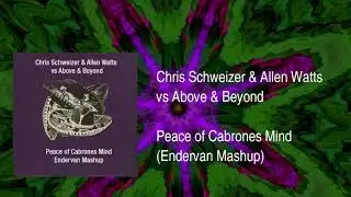 Chris Schweizer & Allen Watts vs Above & Beyond - Peace of Cabrones Mind (Endervan Mashup)