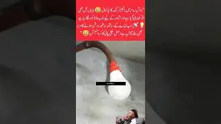 واش روم کی انوکھی انجینئرنگ 😂💡🚿