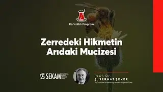 Zerredeki Hikmetin Arıdaki Mucizesi | Prof. Dr. Ş. Serhat Şeker