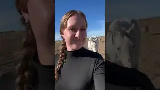 Come do chores with me🥰 #horse #horses