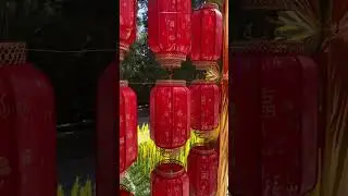 SYMBOL OF GOOD FORTUNE: RED CHINESE LANTERN 🏮🍀 #LUCKY #TRADITION #FESTIVALTIME