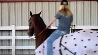 Resilient - Barrel Racing