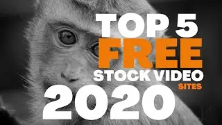 Top 5 FREE STOCK FOOTAGE SITES 2020 | Free video for Youtube channel |  #TechTravelTips