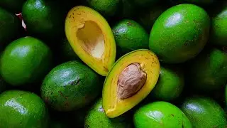 Top 10 Healthiest Foods In The World