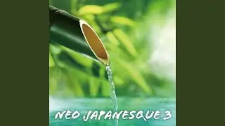 Wise builders