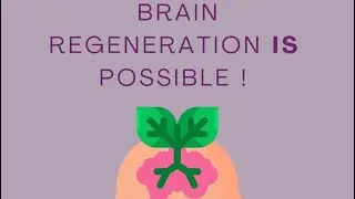Apne Dimag 🧠ko 